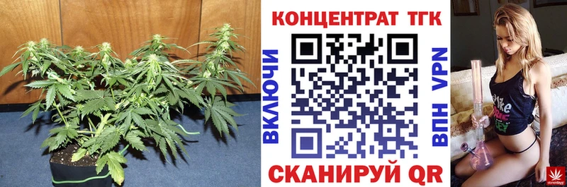 Купить где  Обь  ТГК гашишное масло 